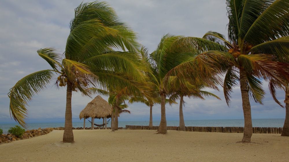 Royal Belize Hotel Thatch Caye Ngoại thất bức ảnh