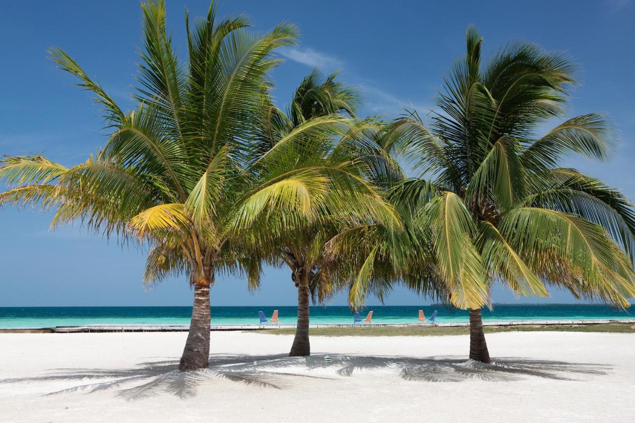 Royal Belize Hotel Thatch Caye Ngoại thất bức ảnh
